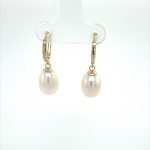 14 Karat Yellow Gold Fresh Water Pearls Earrings