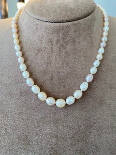 14K Yellow Gold Multicolor Freshwater Pearl Necklace