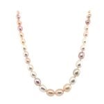 14KY Gold Multicolor Fresh Water Pearl Necklace
