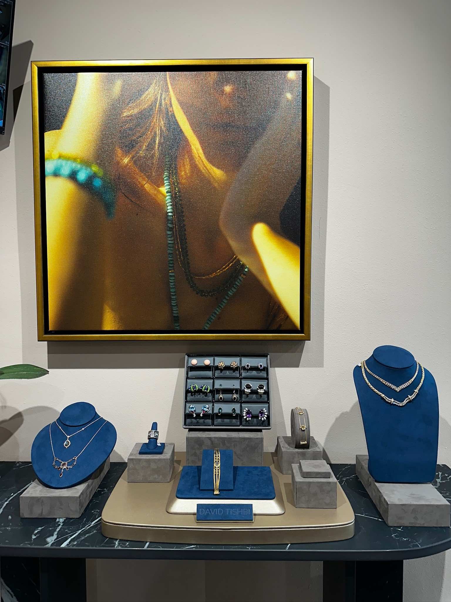 Elegant jewelry display featuring necklaces, rings, and bracelets by David Tishbi, set against a backdrop of a framed artistic portrait. The display includes a blue velvet bust showcasing a silver necklace, a ring on a pedestal, and a variety of rings arranged in a case.